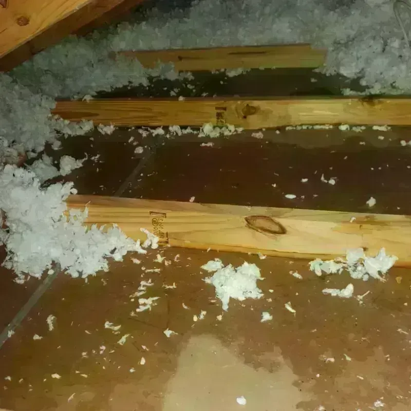 Attic Water Damage in Galveston County, TX