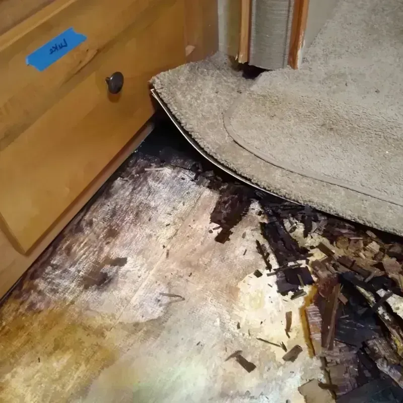 Best Wood Floor Water Damage Service in Galveston County, TX